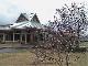 Brussel's Bonsai Nursery, Olive Branch